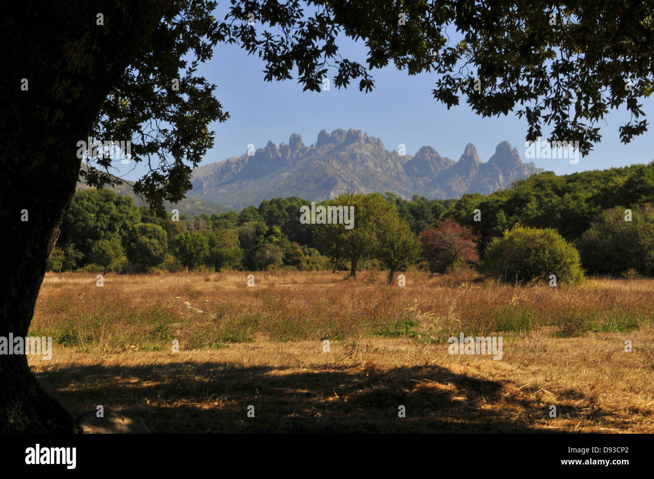 Aiguilles de Bavella, Blick vom Quenza, Col de Bavella, Alta Rocca Region, Corse-du-Sud, Korsika, Frankreich Stockfoto