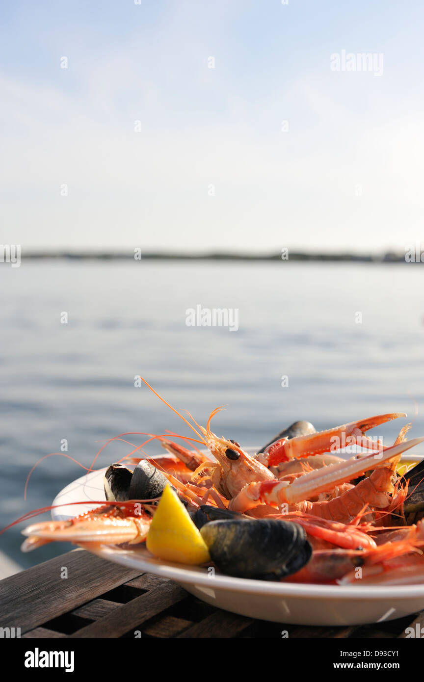 Eine Platte mit Meeresfrüchten, Bohuslan, Schweden. Stockfoto