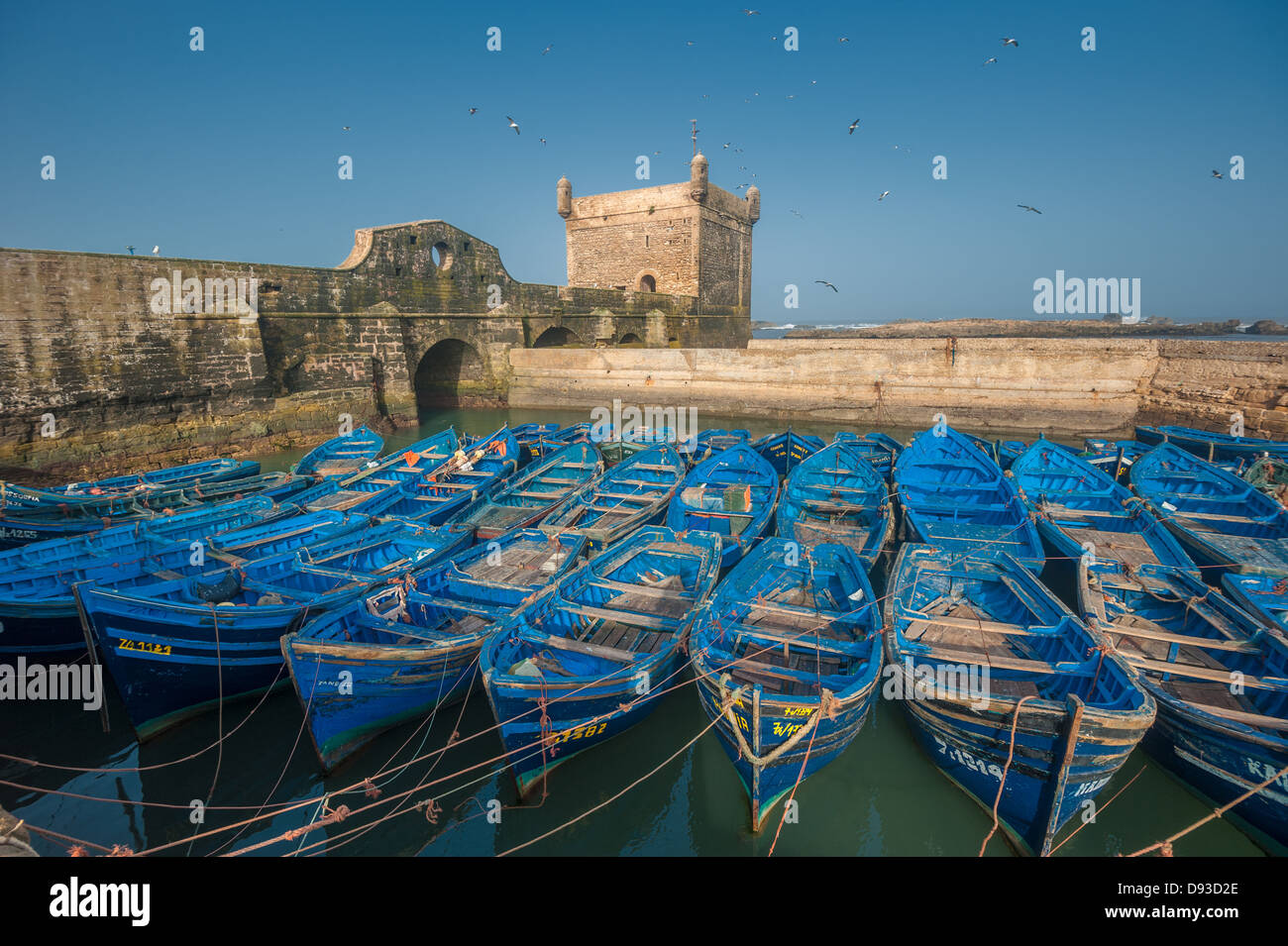 Fischer Boote im Hafen von Essaouira, Marokko Stockfoto