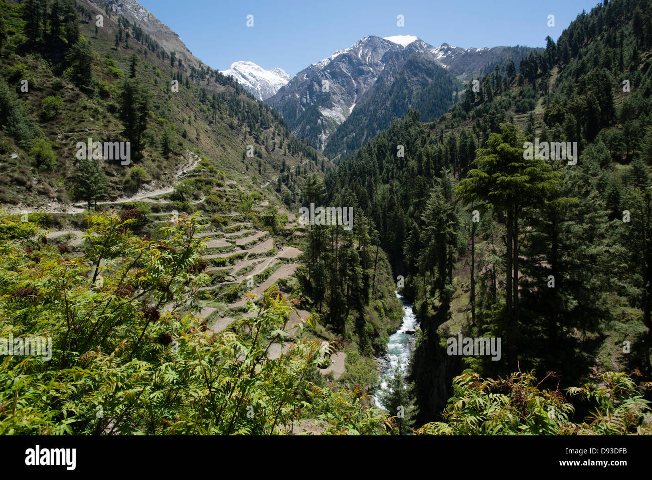 Das malerische Tal der Himalayan Budhil, beliebt bei Wanderern, ist das Zentrum der Stammeskultur Gaddi Himachal Pradesh, Indien Stockfoto