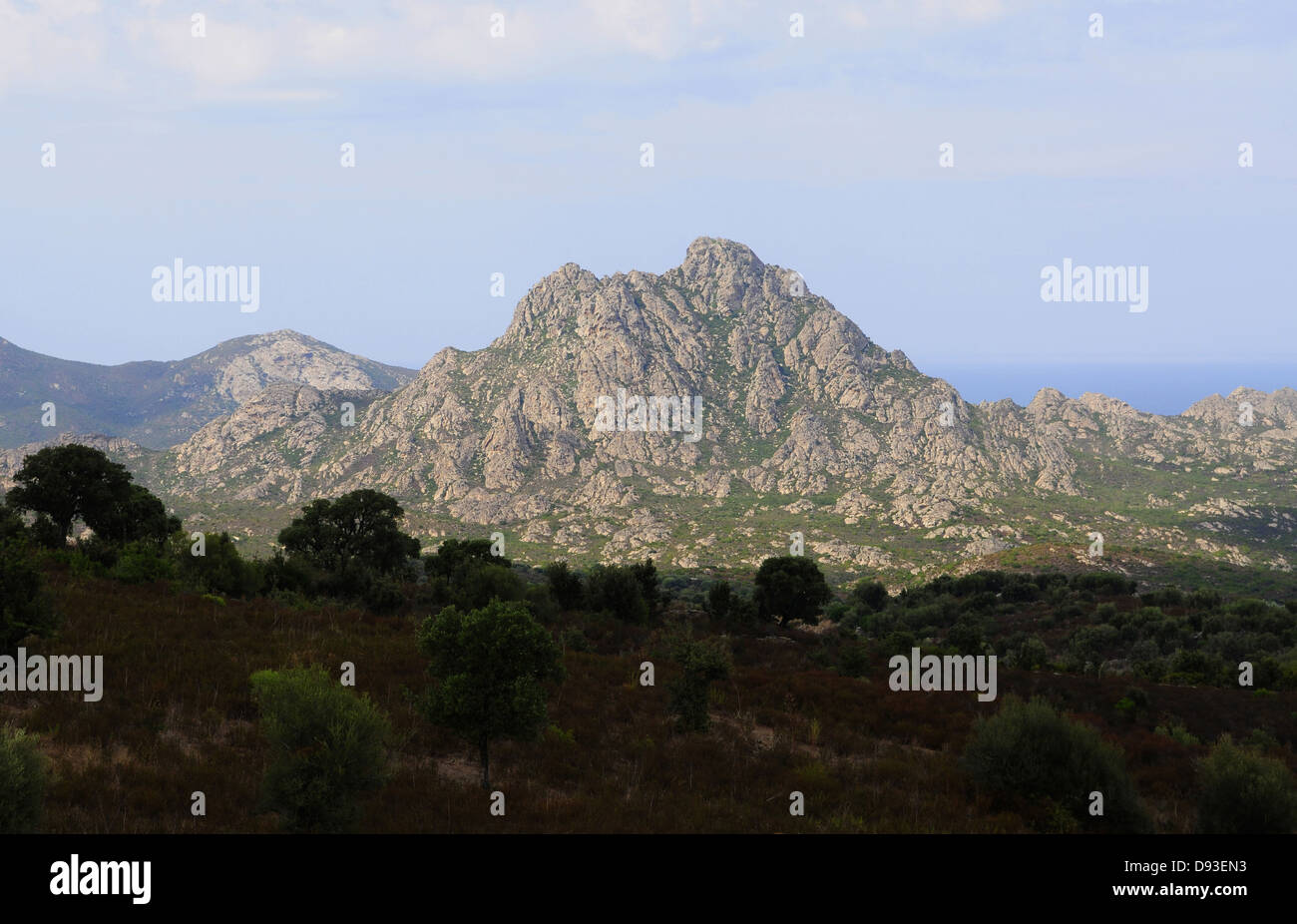 Désert des Agriates, Nebbio Region, Le Haut-Nebbio, Haute-Corse, Korsika, Frankreich Stockfoto