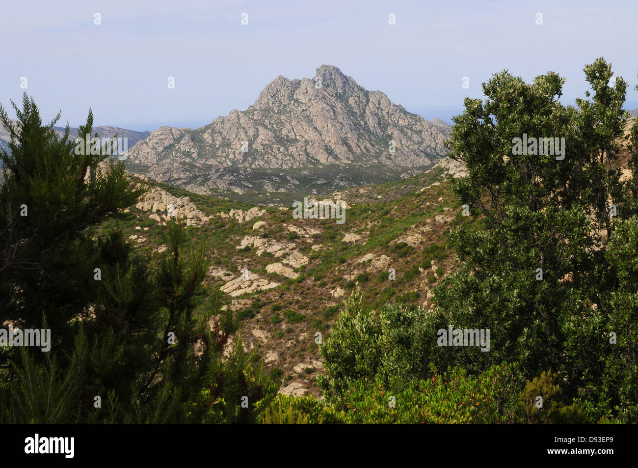 Désert des Agriates, Nebbio Region, Le Haut-Nebbio, Haute-Corse, Korsika, Frankreich Stockfoto