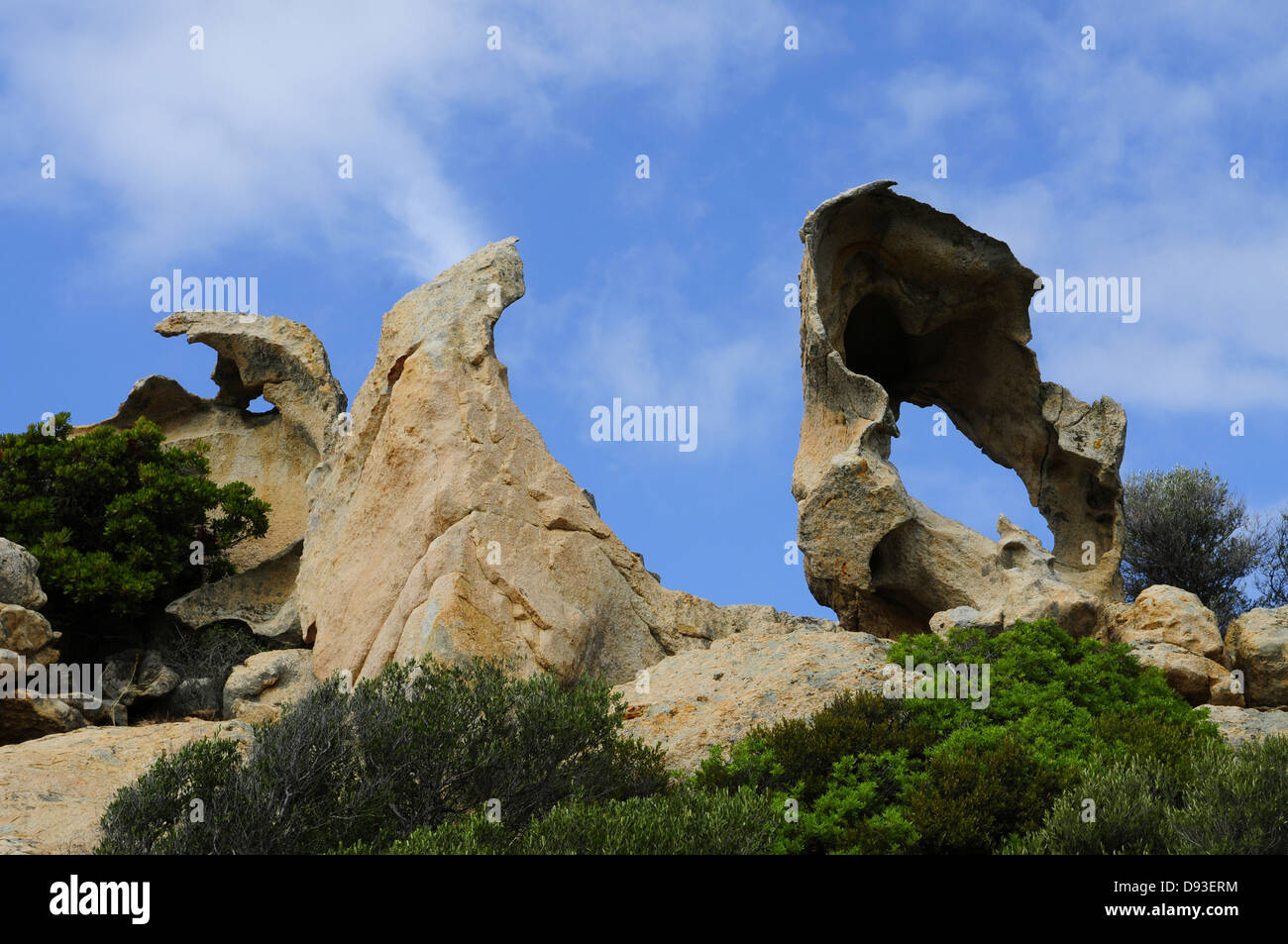 Tafoni-Felsen, in der Nähe von Calvi, Balagne Region Haute-Corse, Korsika, Frankreich Stockfoto