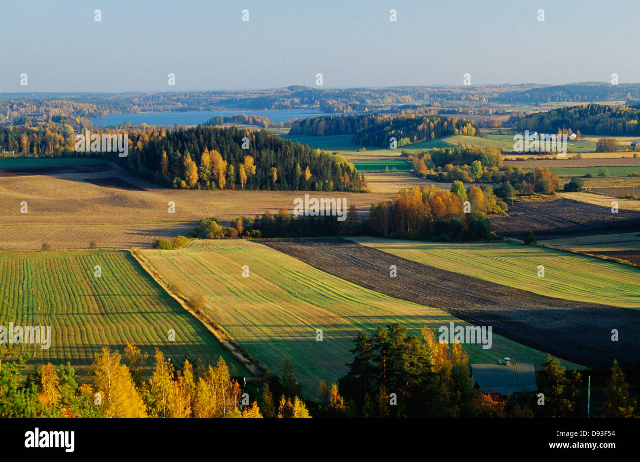 Blick auf Felder Stockfoto