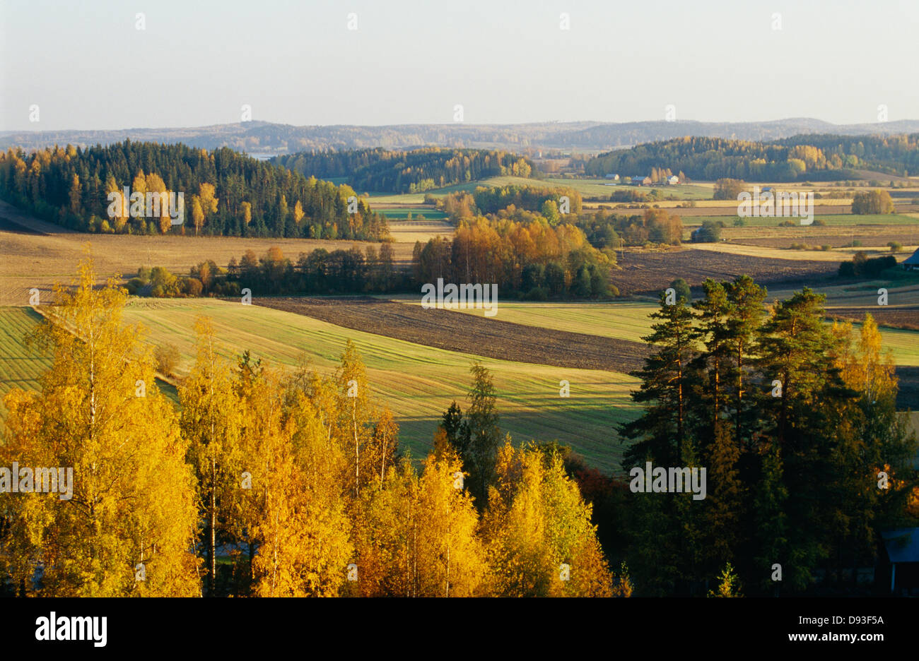 Landschaft im Herbst Stockfoto