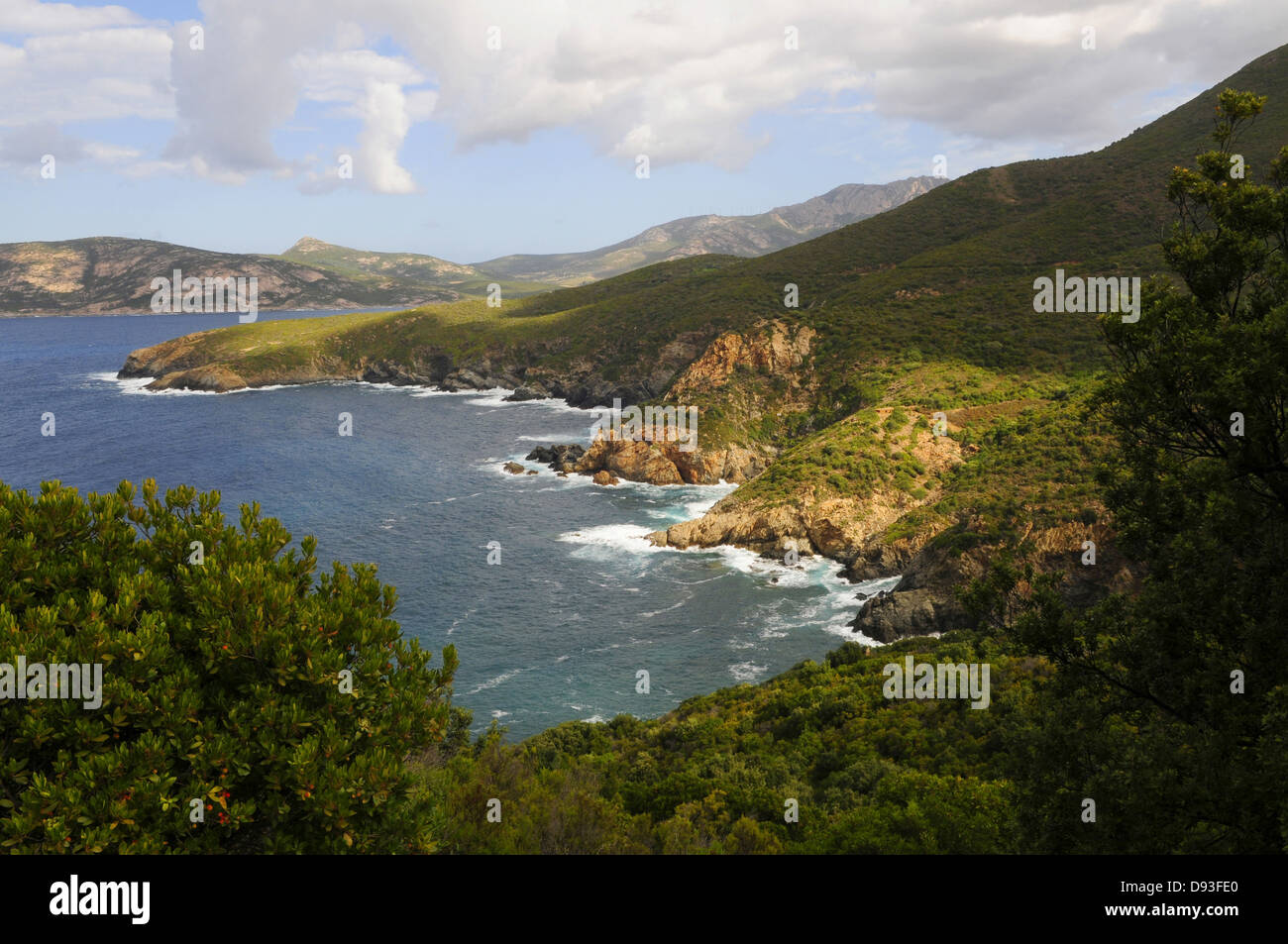 Küstenlandschaft südlich von Calvi, Balagne Region Haute-Corse, Korsika, Frankreich Stockfoto