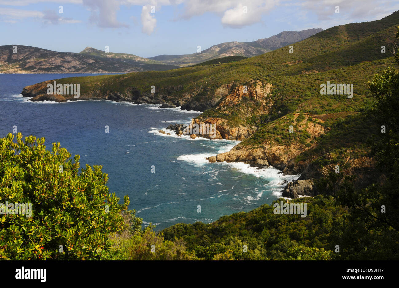 Küstenlandschaft südlich von Calvi, Balagne Region Haute-Corse, Korsika, Frankreich Stockfoto
