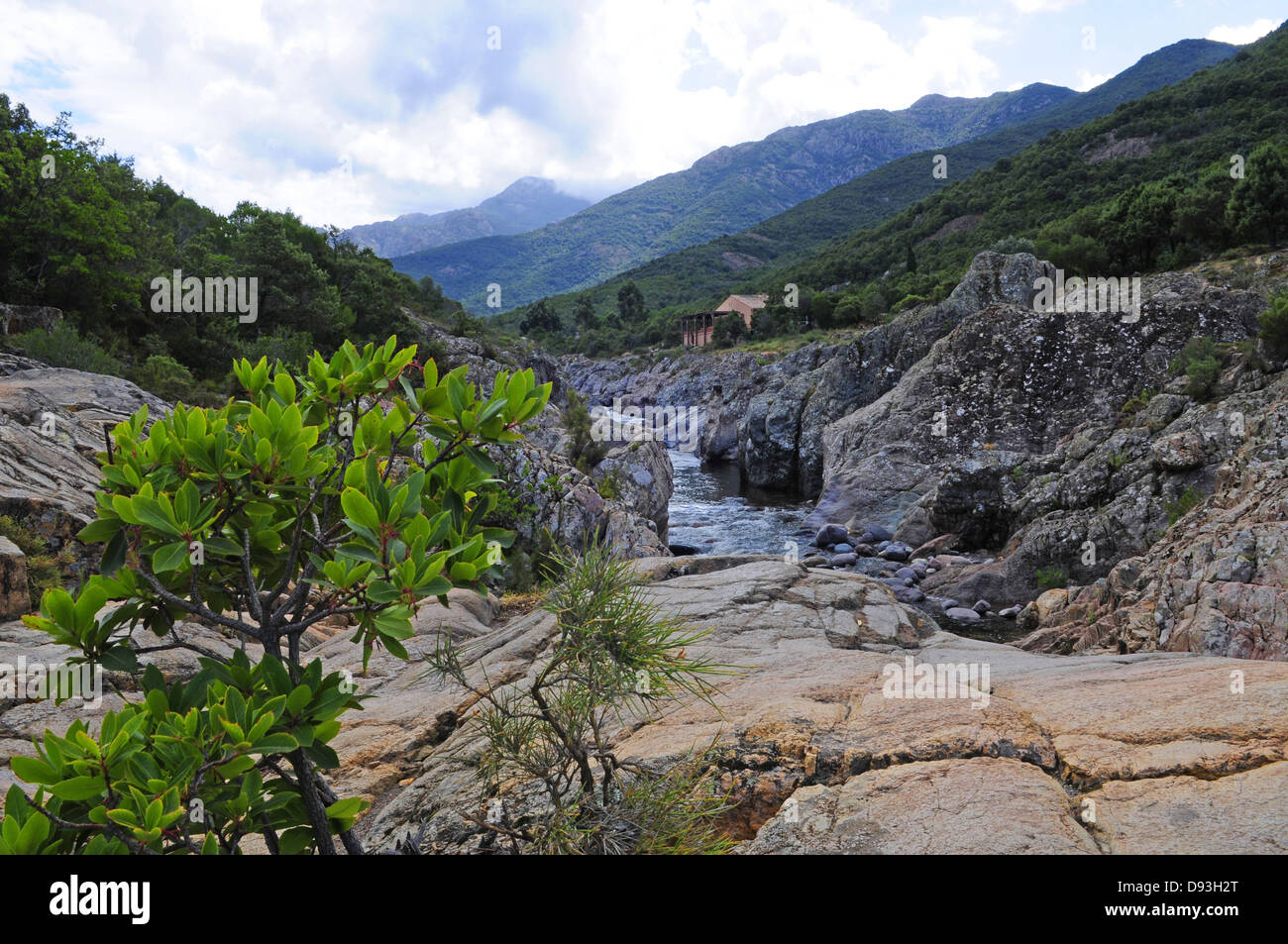 Vallee du Fango, Filosorma Region Haute-Corse, Korsika, Frankreich Stockfoto