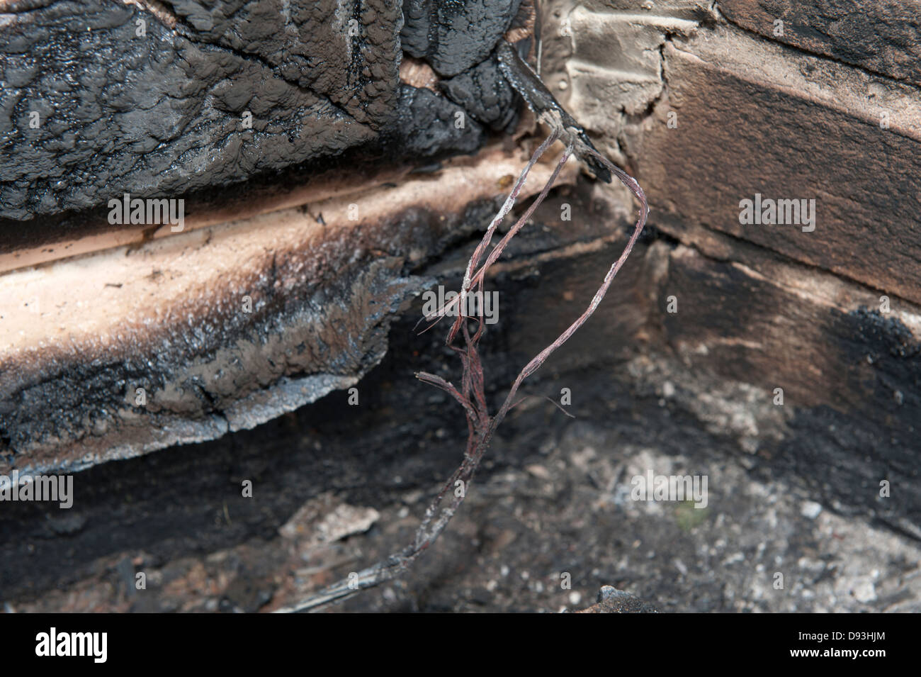 Elektrische Feuer fehlerhafte Wire Kabel verbrannt Nagetier durchgekaut Vorzeichen Stockfoto