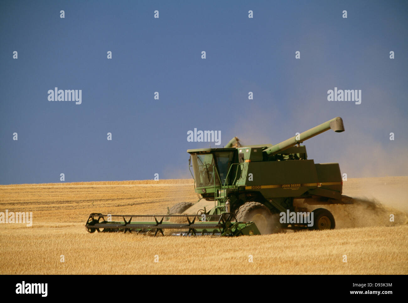 Mähdrescher im Weizenfeld Stockfoto