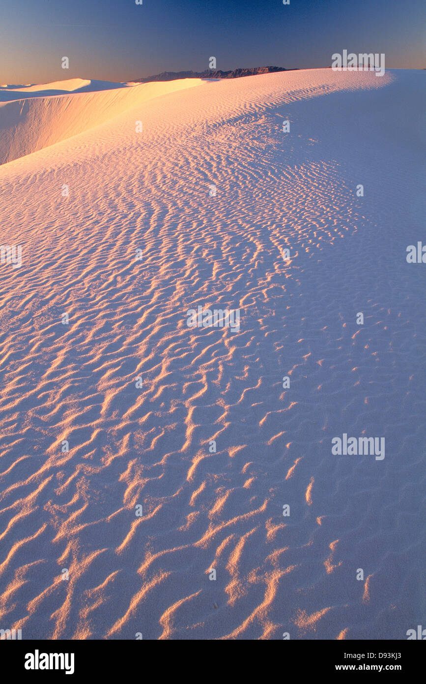 Welligkeit Markierungen auf Sanddüne. Stockfoto