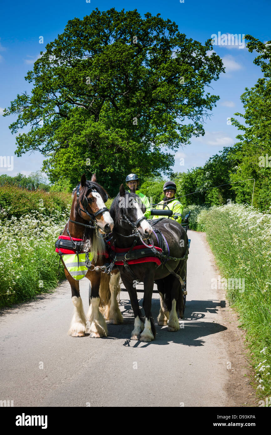 Pferde und Wagen Stockfoto