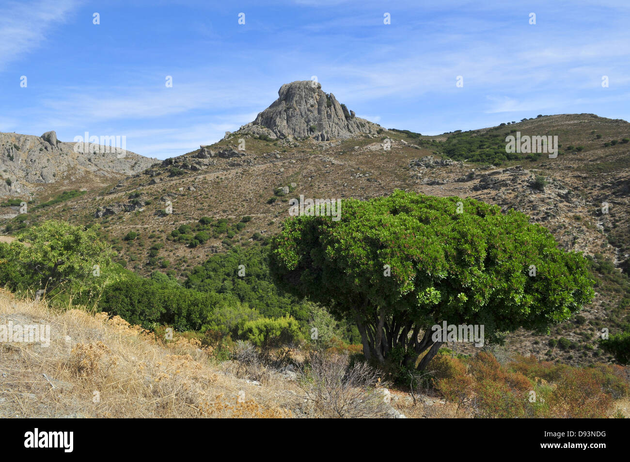 Barbagia Seulo, Landschaft in der Nähe von Seulo, Gennargentu-massiv, Sardinien, Italien Stockfoto