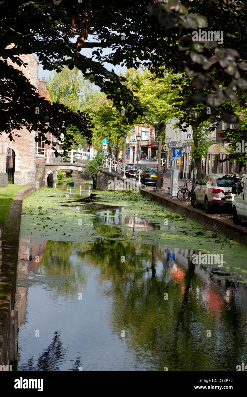 Ruhigen sonnigen Kanal Sonnenlicht Delft Holland Niederlande Europa Stockfoto