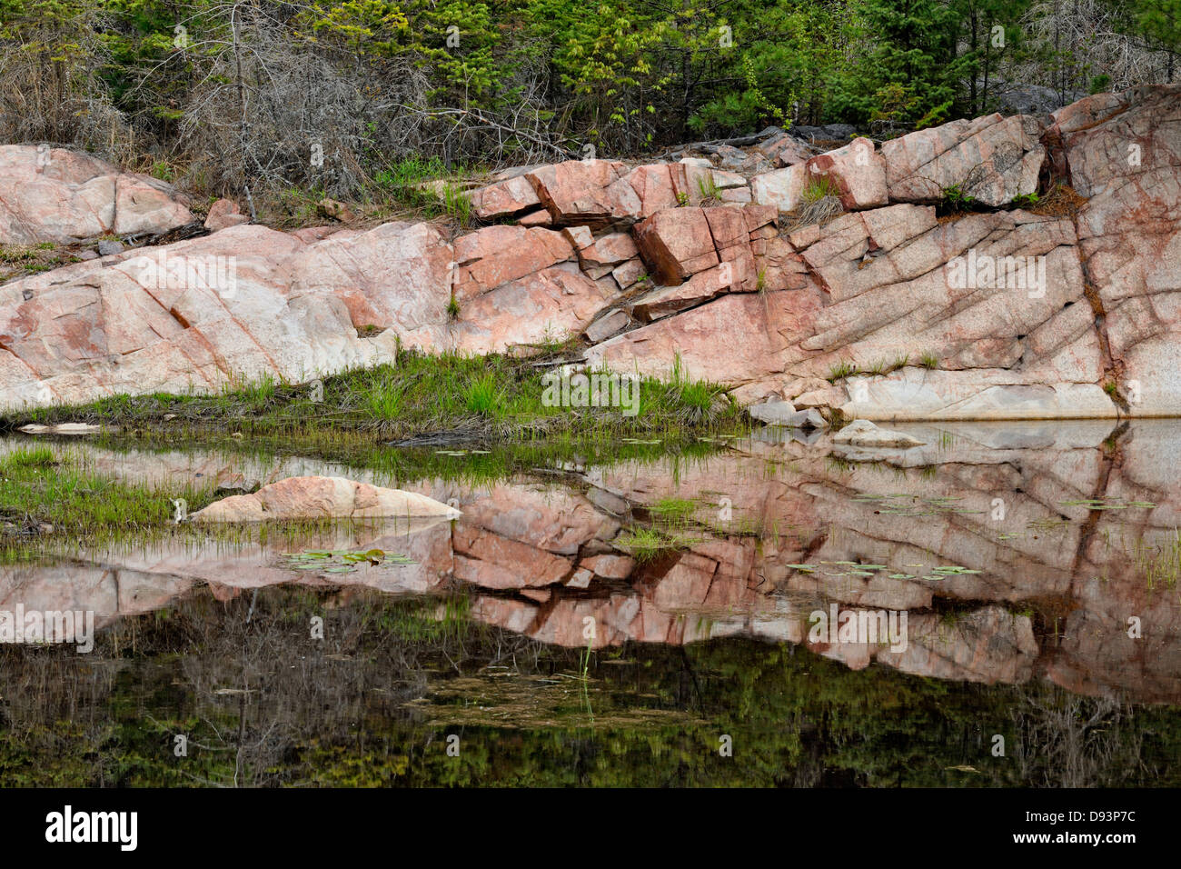 Kanadischer Schild Granitfelsen spiegelt sich in einem Biber Teich Killarney Ontario Kanada Stockfoto