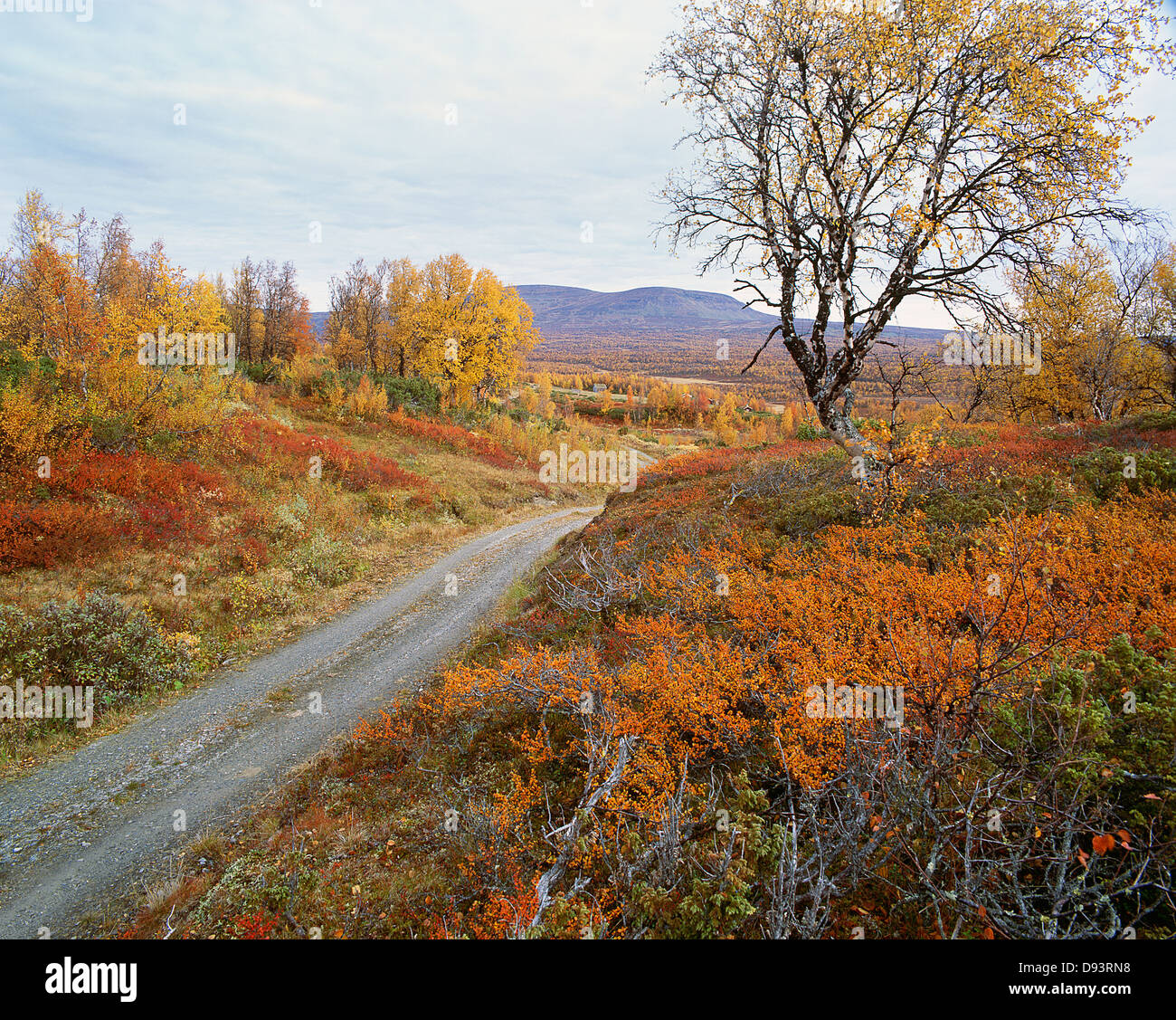 Trail durch herbstliche Landschaft Stockfoto