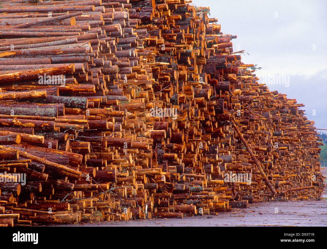 Haufen von Holz Stockfoto