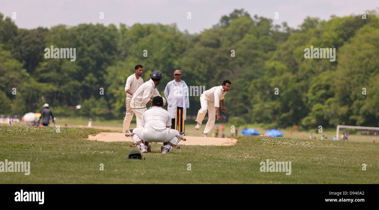 Cricket spielen Cricket in Van Cortlandt Park in der Bronx in New York Stockfoto