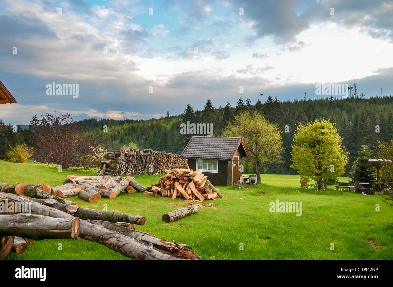 Landhaus aus Holz und Haufen von Birke Unterlegkeile im Vordergrund Stockfoto