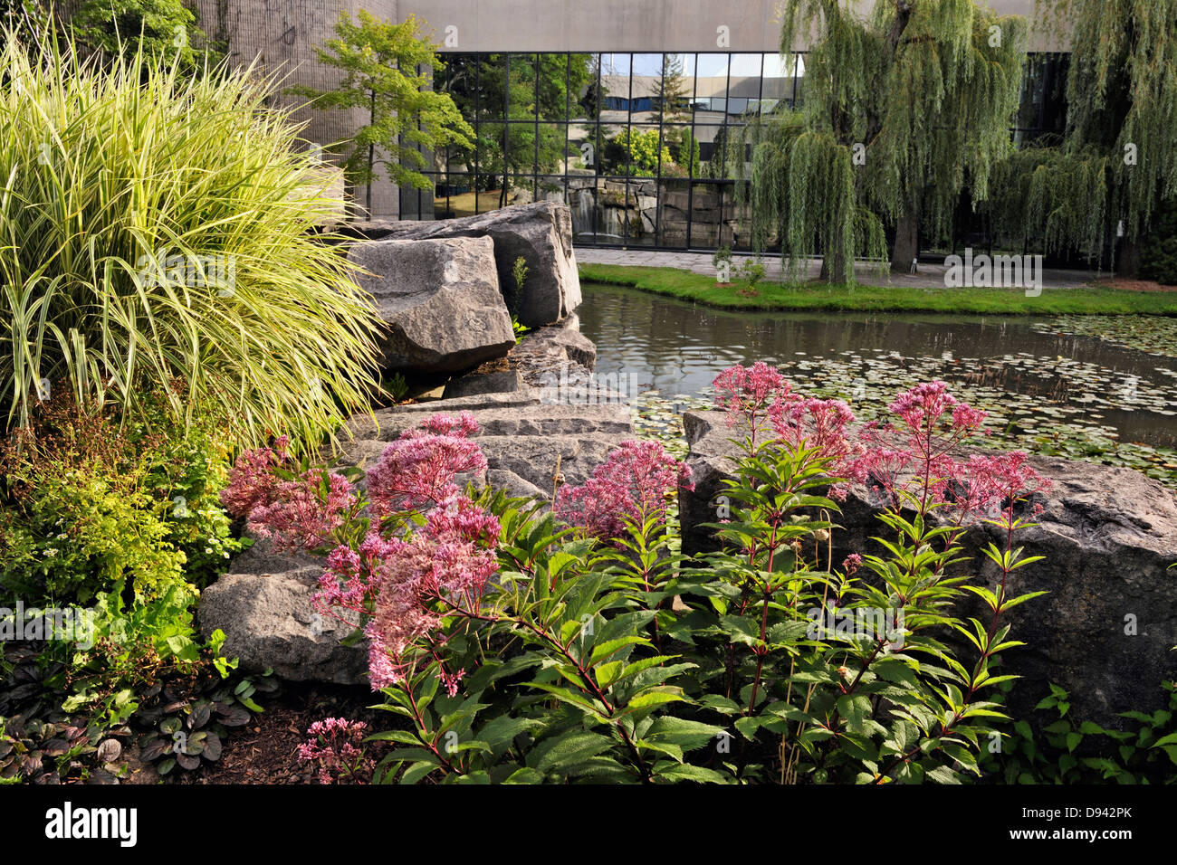 Eingebürgerte Teich und den Garten bei Pond Inlet an der Brock University Campus St. Catherines Ontario Kanada Stockfoto