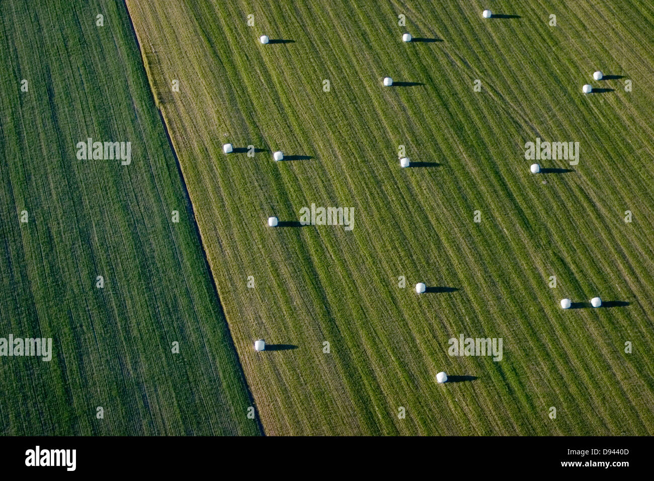 Silieren Sie auf Ackerland, Luftaufnahme, Schweden. Stockfoto