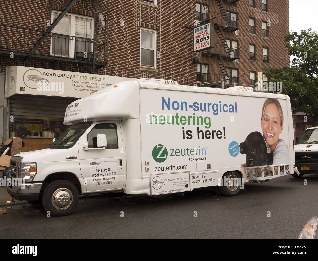 Mobile Klinik für Hunde nicht chirurgisch kastrieren. Brooklyn, New York Stockfoto