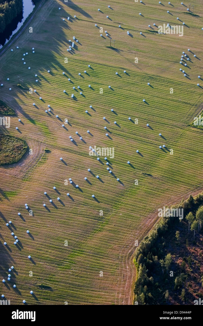 Silieren Sie auf Ackerland, Luftaufnahme, Schweden. Stockfoto