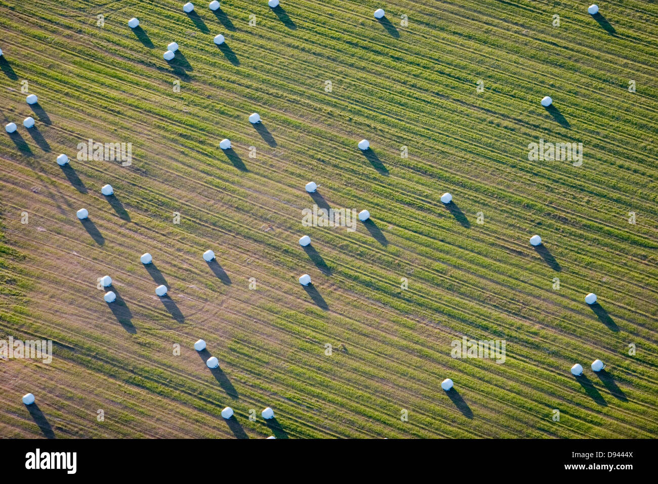 Silieren Sie auf Ackerland, Luftaufnahme, Schweden. Stockfoto