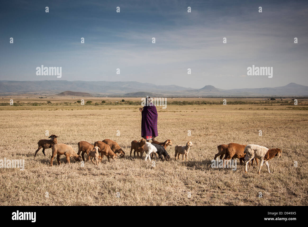 Massai-Familie in Rift Valley of Africa Ziegen hüten Stockfotografie - Alamy