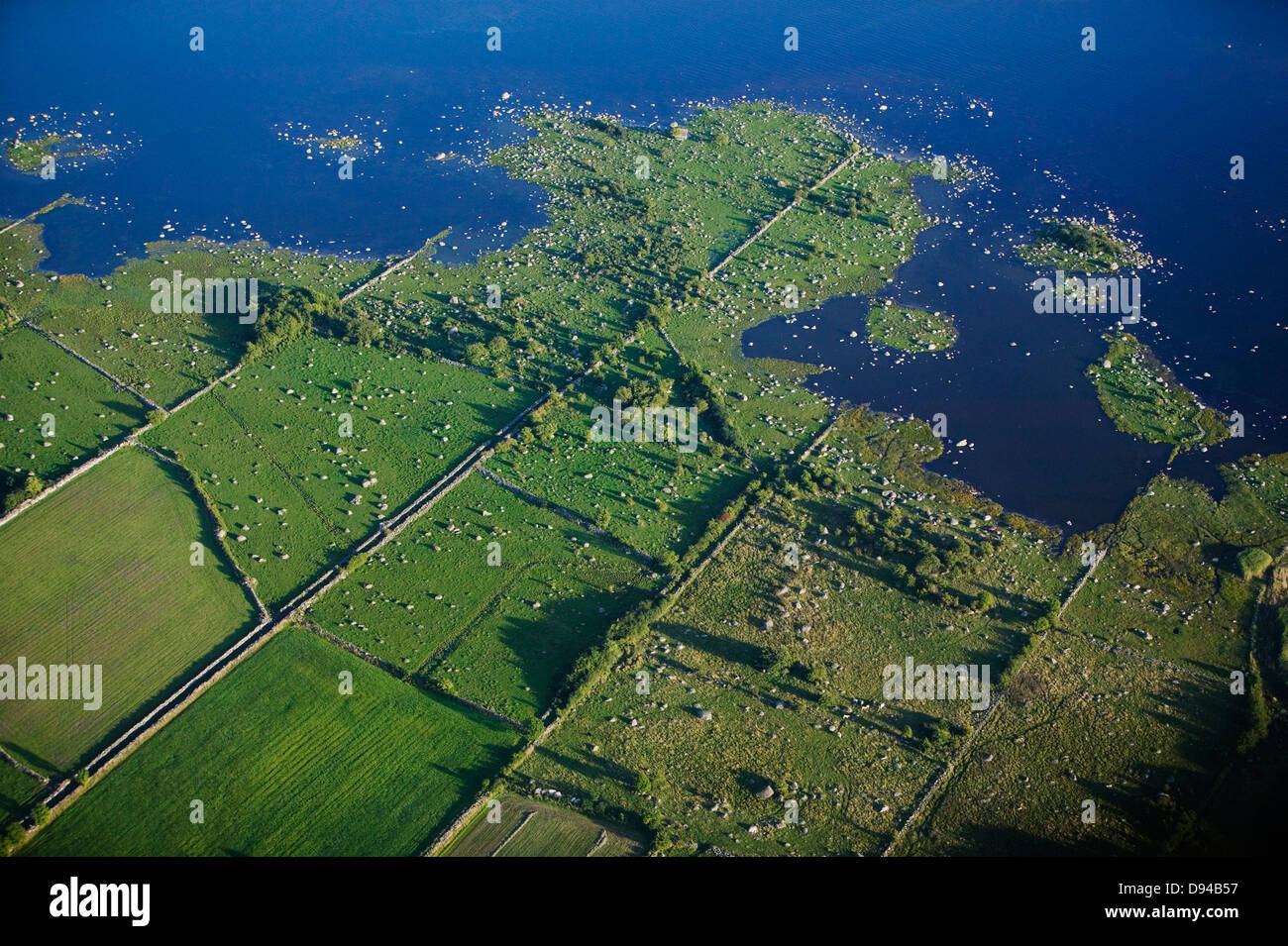 Weide-Land am Meer, Luftbild, Schweden. Stockfoto