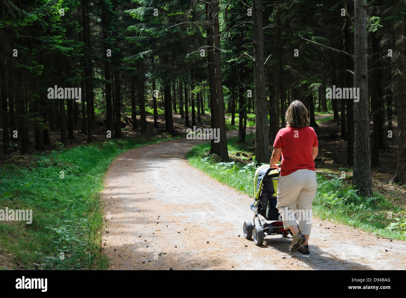 Mutter mit Kind im Kinderwagen spazieren im Wald Stockfoto