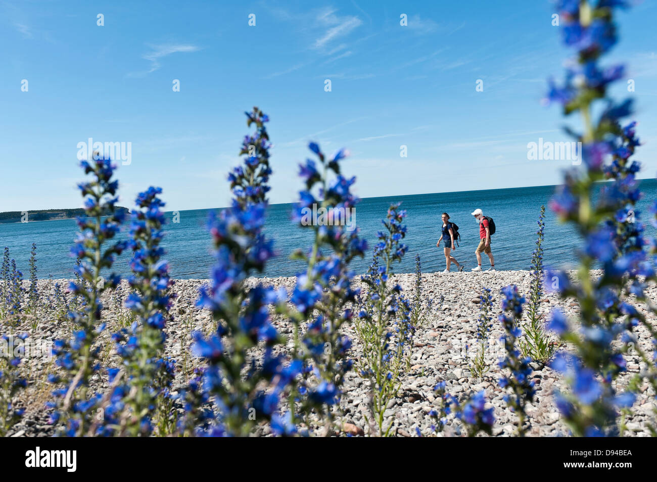 Menschen, die ein Spaziergang am Strand Stockfoto