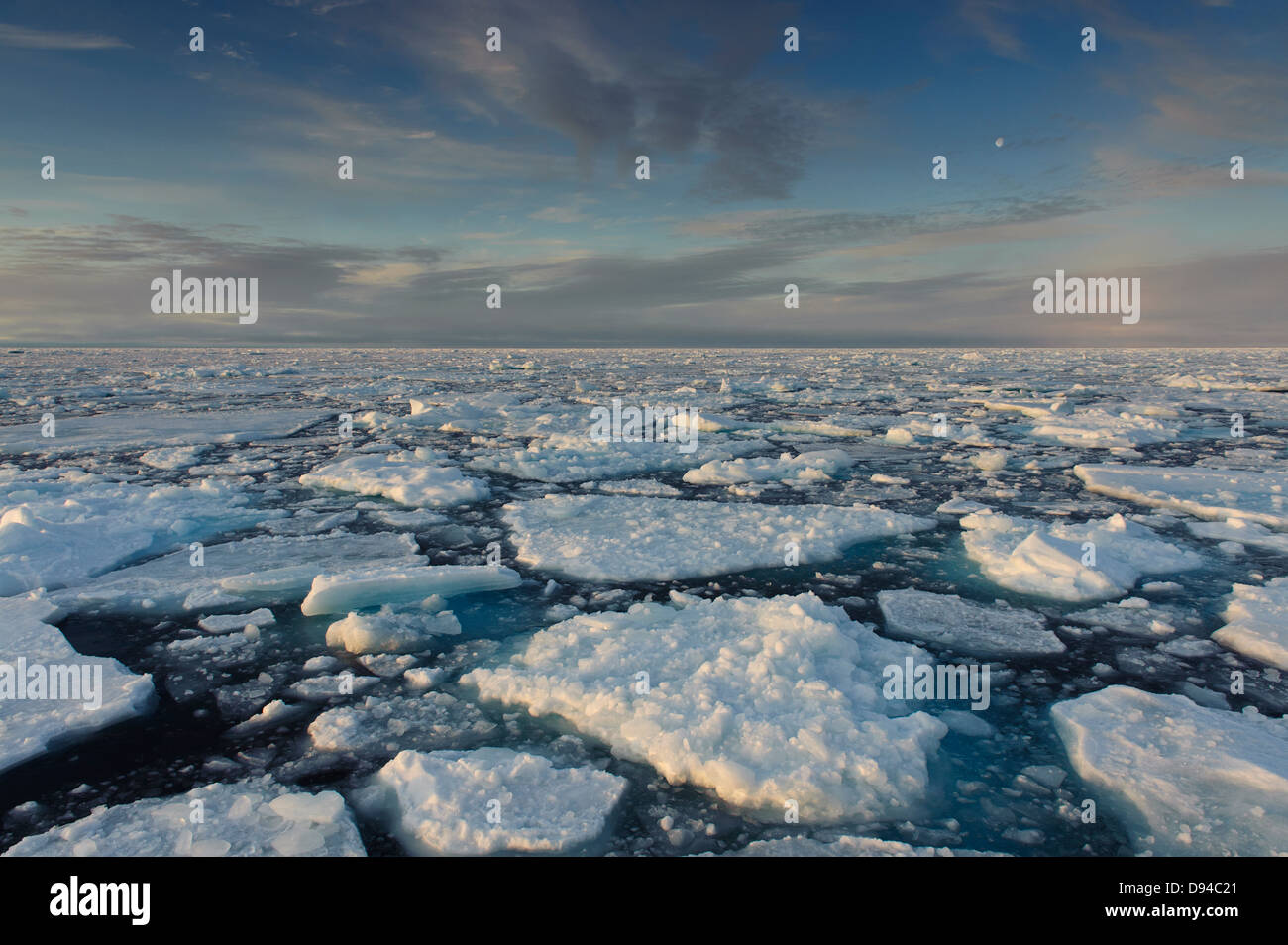 Eisscholle am arktischen Ozean Stockfoto