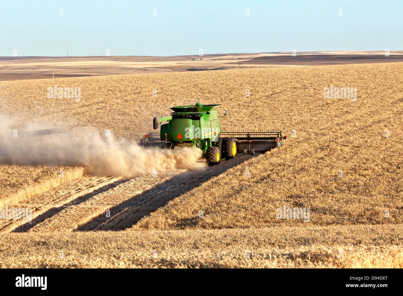 John Deere kombinieren beim Ernten von Weizen. Stockfoto