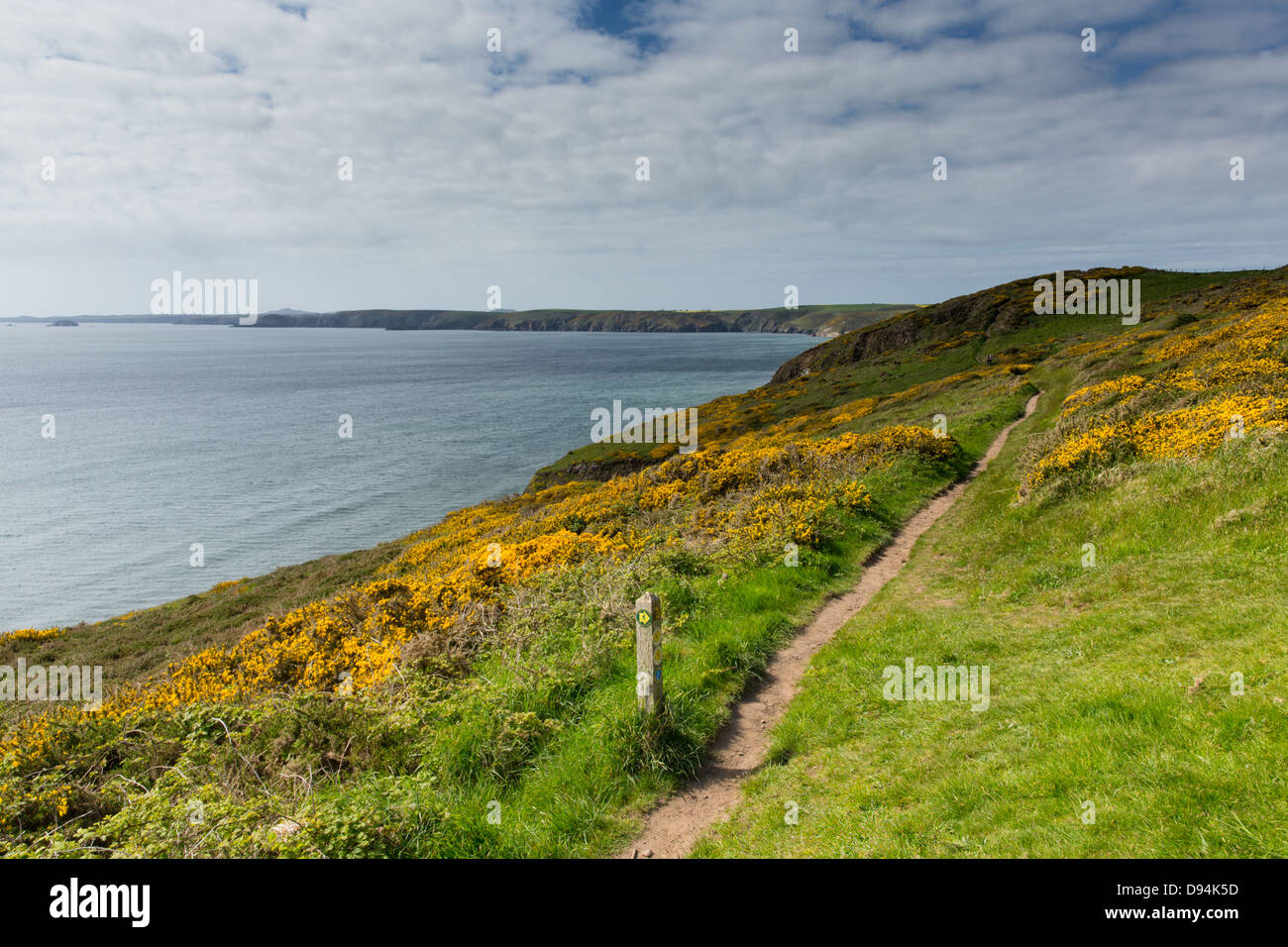 Rachitis Stockfotos und bilder Kaufen Alamy