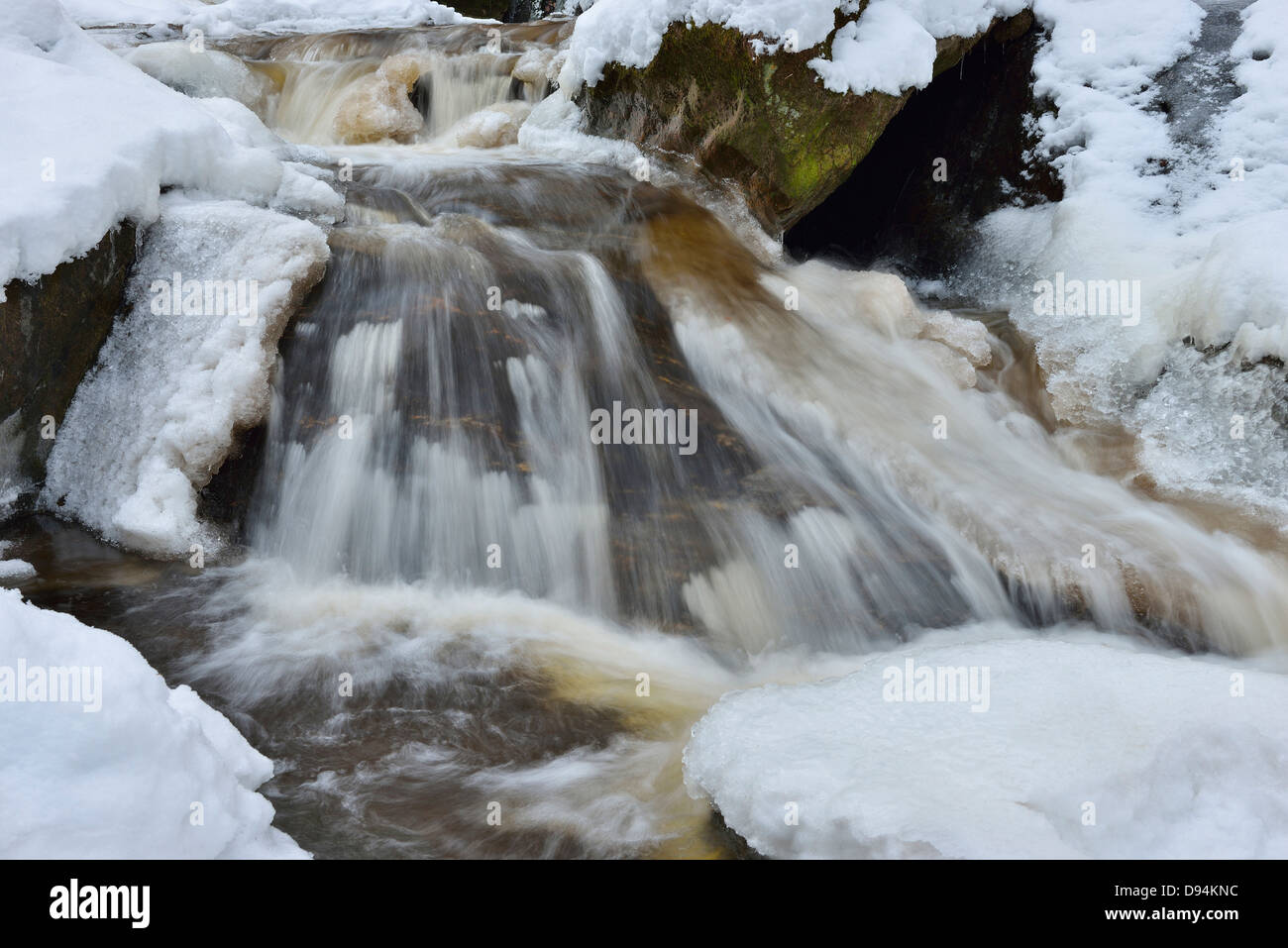 Nahaufnahme des eisigen Gebirgsbach im Winter, Steinklamm, Spieglau, Nationalpark Bayerischer Wald, Bayern, Deutschland Stockfoto