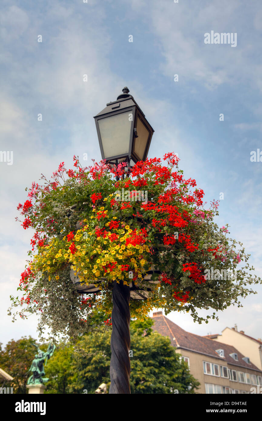 Rot, post rosa und gelbe Blüten in eine Blumenampel auf eine alte Straßenlaterne. Stockfoto