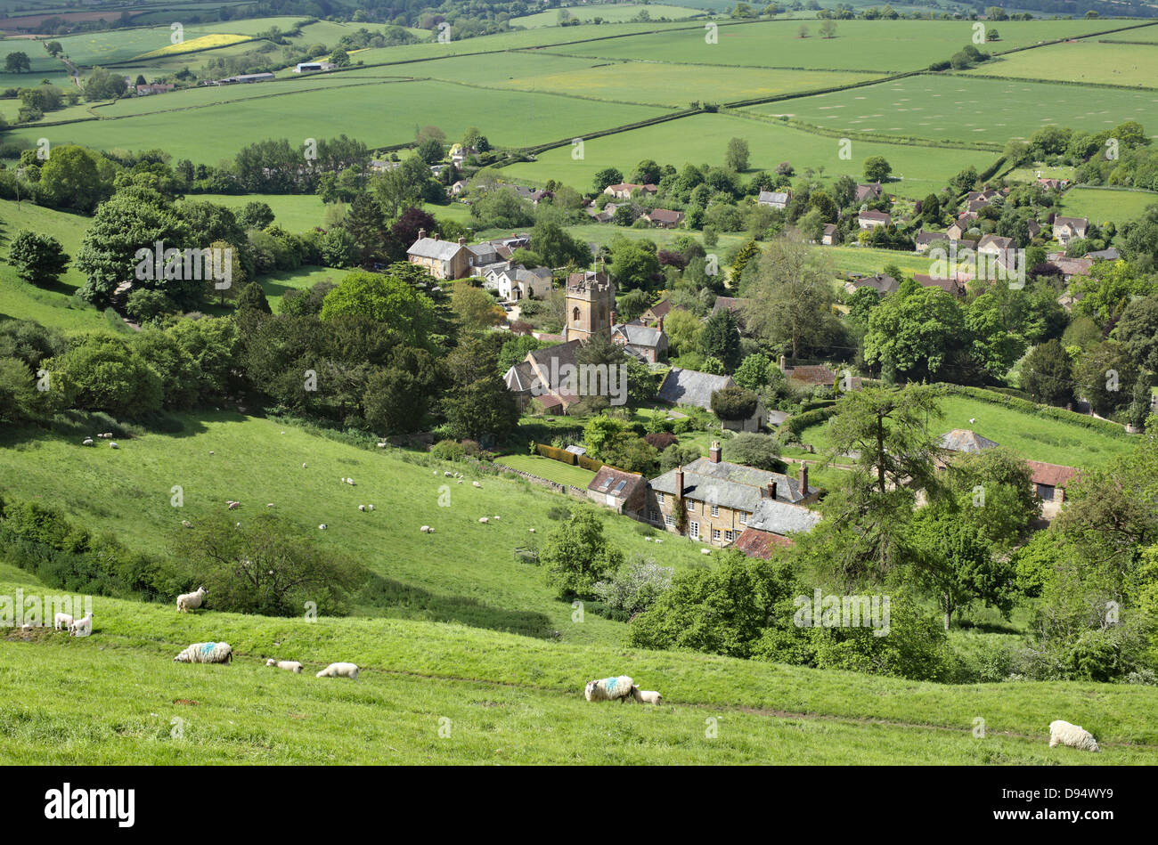 Blick hinunter auf Schafe und das Dorf von Corton Denham, Somerset von Corton-Hügel in der Nähe. Stockfoto