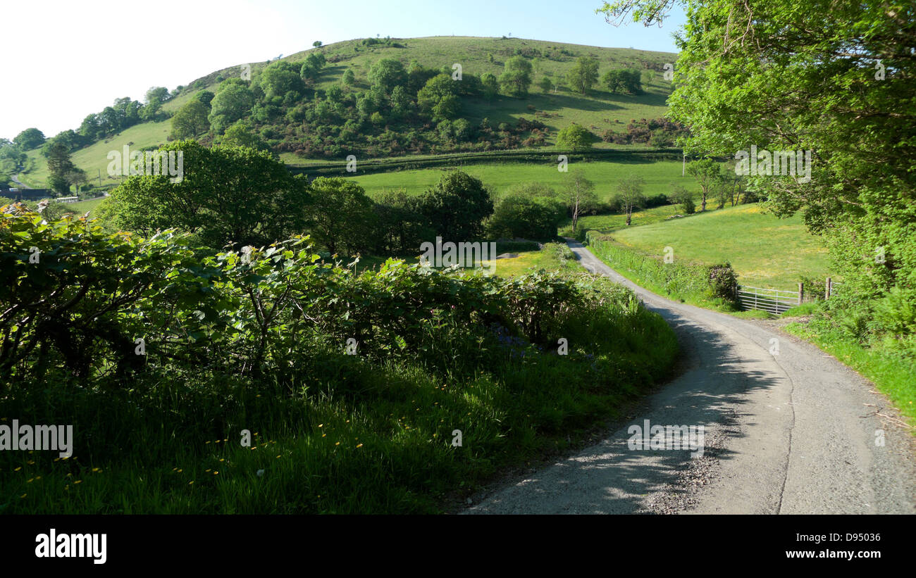 Ländliche land Straße und Landschaft Landschaft im Frühjahr mit grünen Hügeln, Bäume, Felder und Hecken Hecke in Carmarthenshire Wales UK KATHY DEWITT Stockfoto