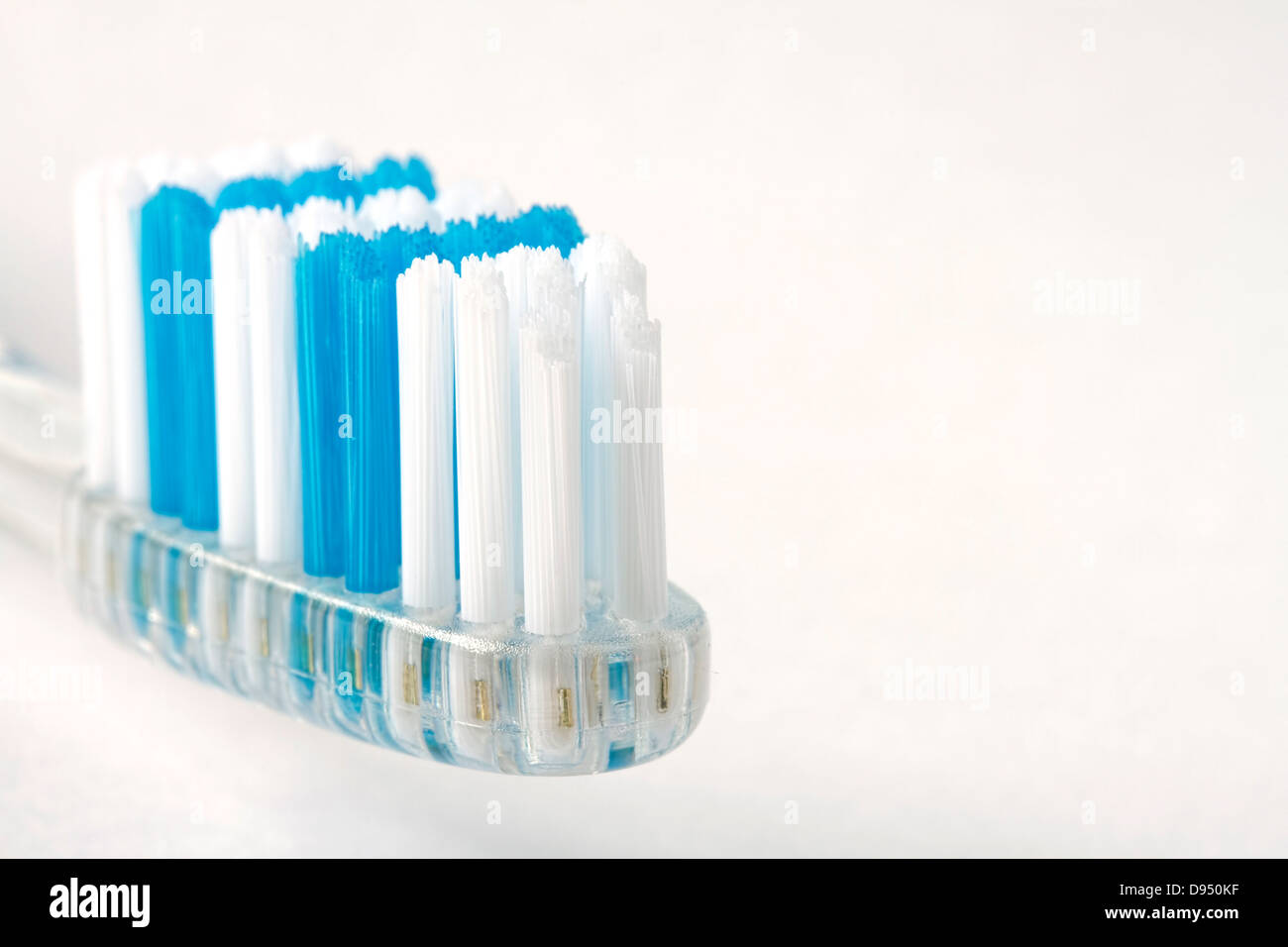 Blaue und weiße Zahnbürste hautnah Stockfoto