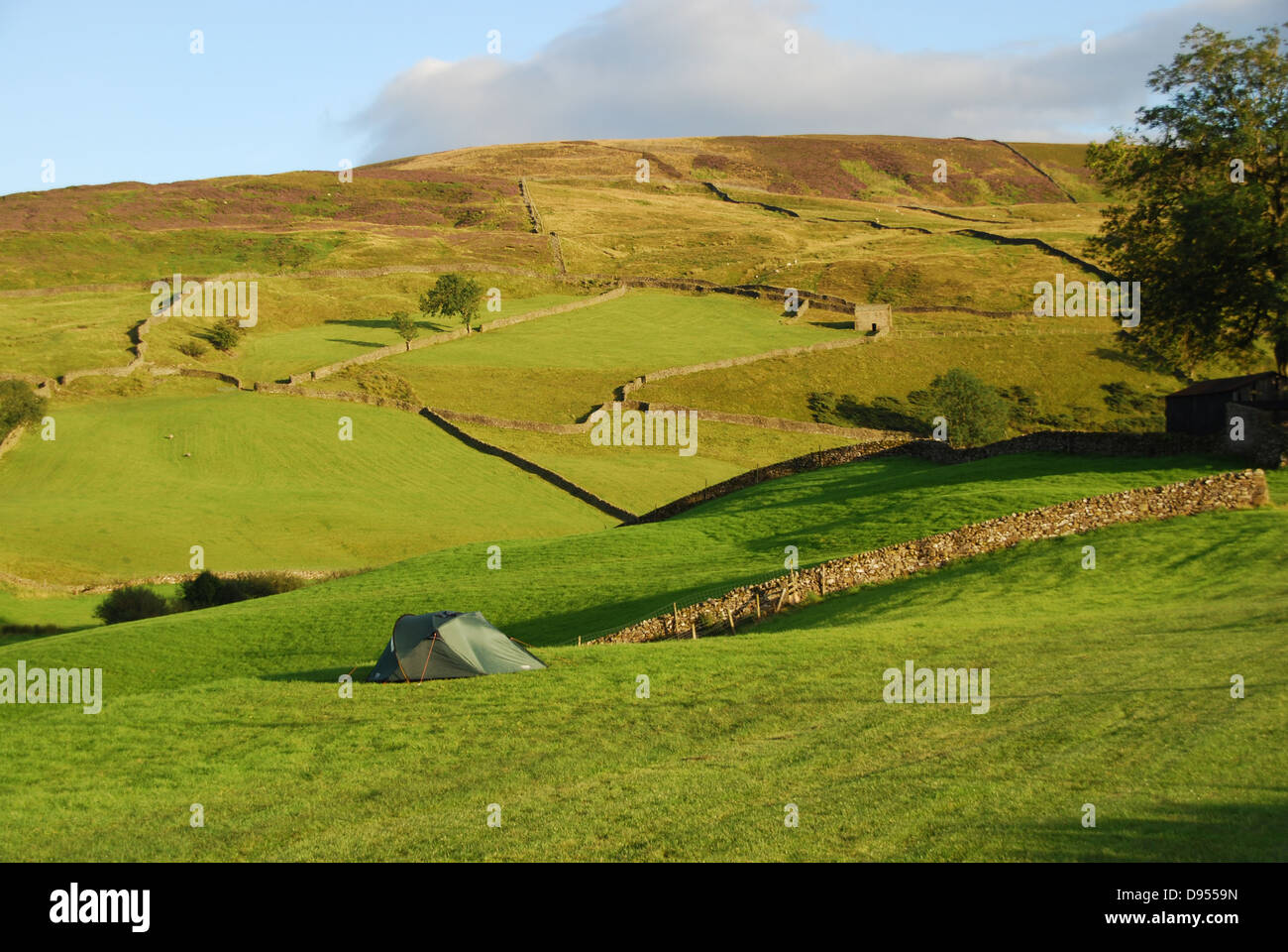 Ein einsamer Zelt in den Yorkshire Dales.  UK Stockfoto