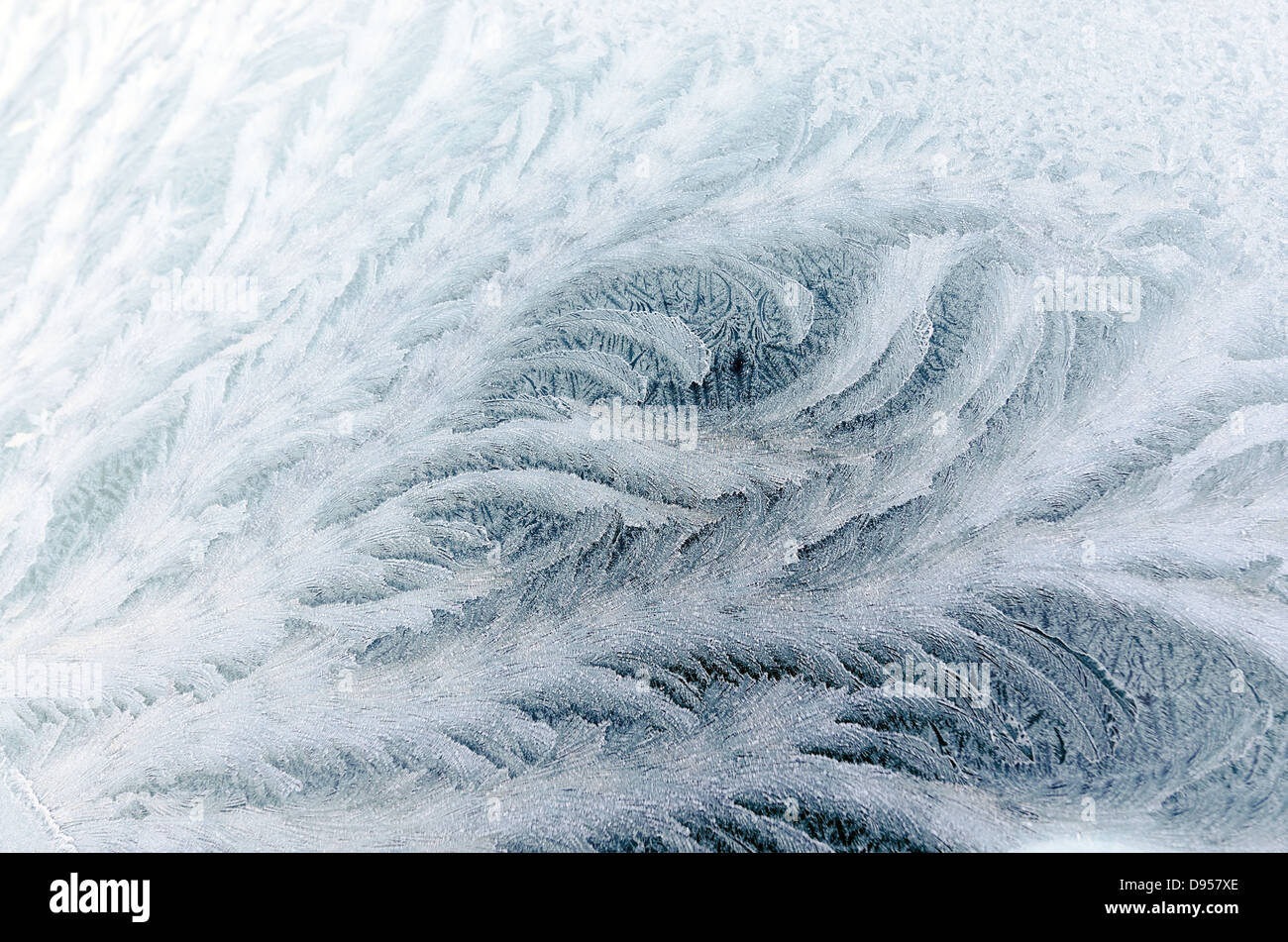 Eisblume auf Auto Windschutzscheibe verursacht durch Sub Zero Temperaturen und starke Winde Stockfoto