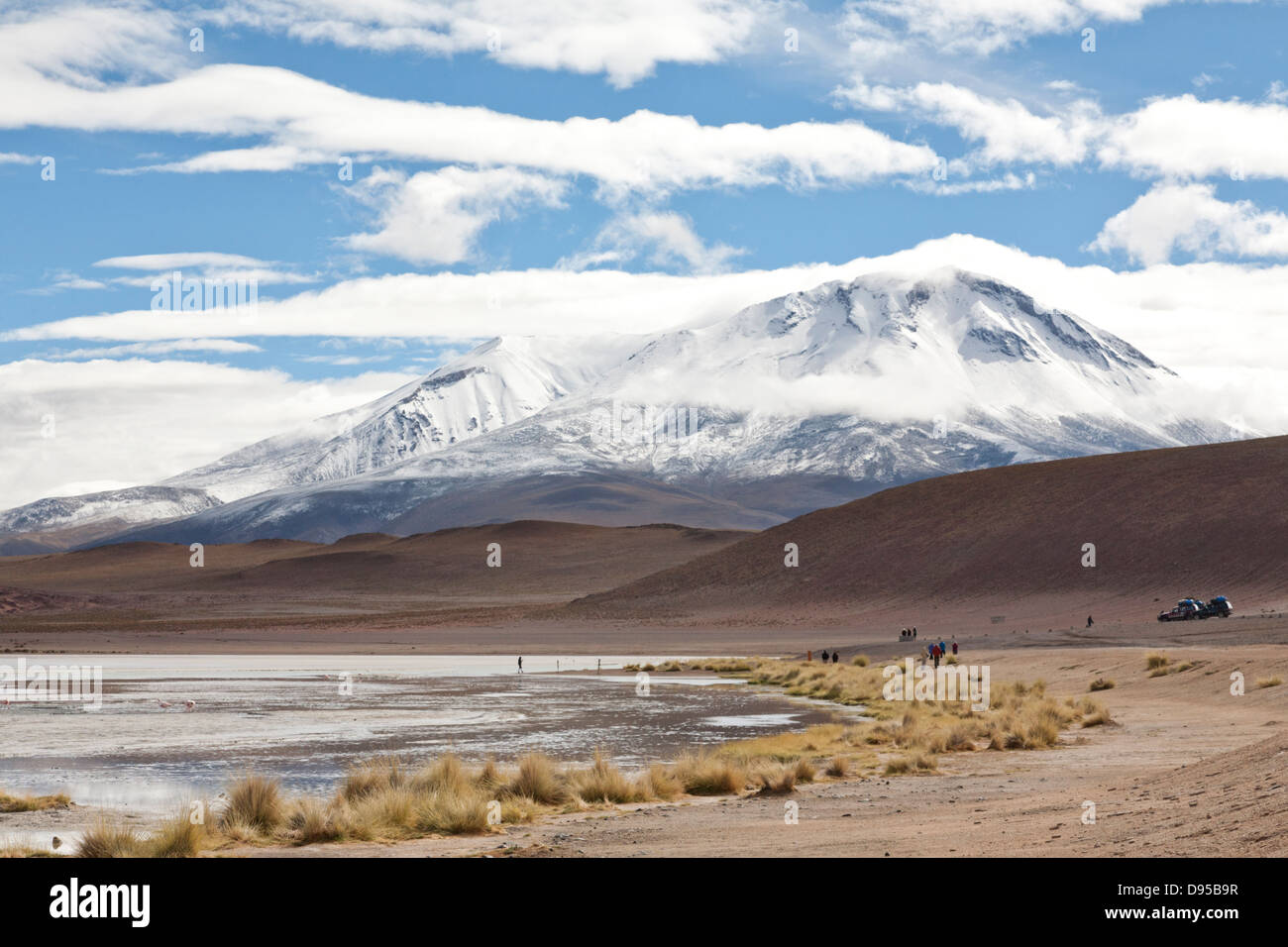 Laguna Hedionda, Volcan Caquella Salz flache Touren, Altiplano, Südwesten Boliviens Stockfoto