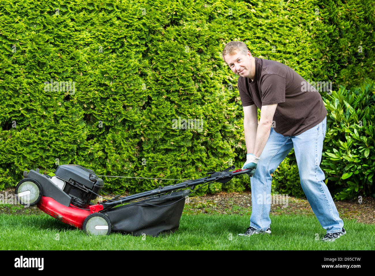 reifer Mann mit Rasenmäher mit grünem Rasen und hohen Büsche im Hintergrund dösen Stockfoto