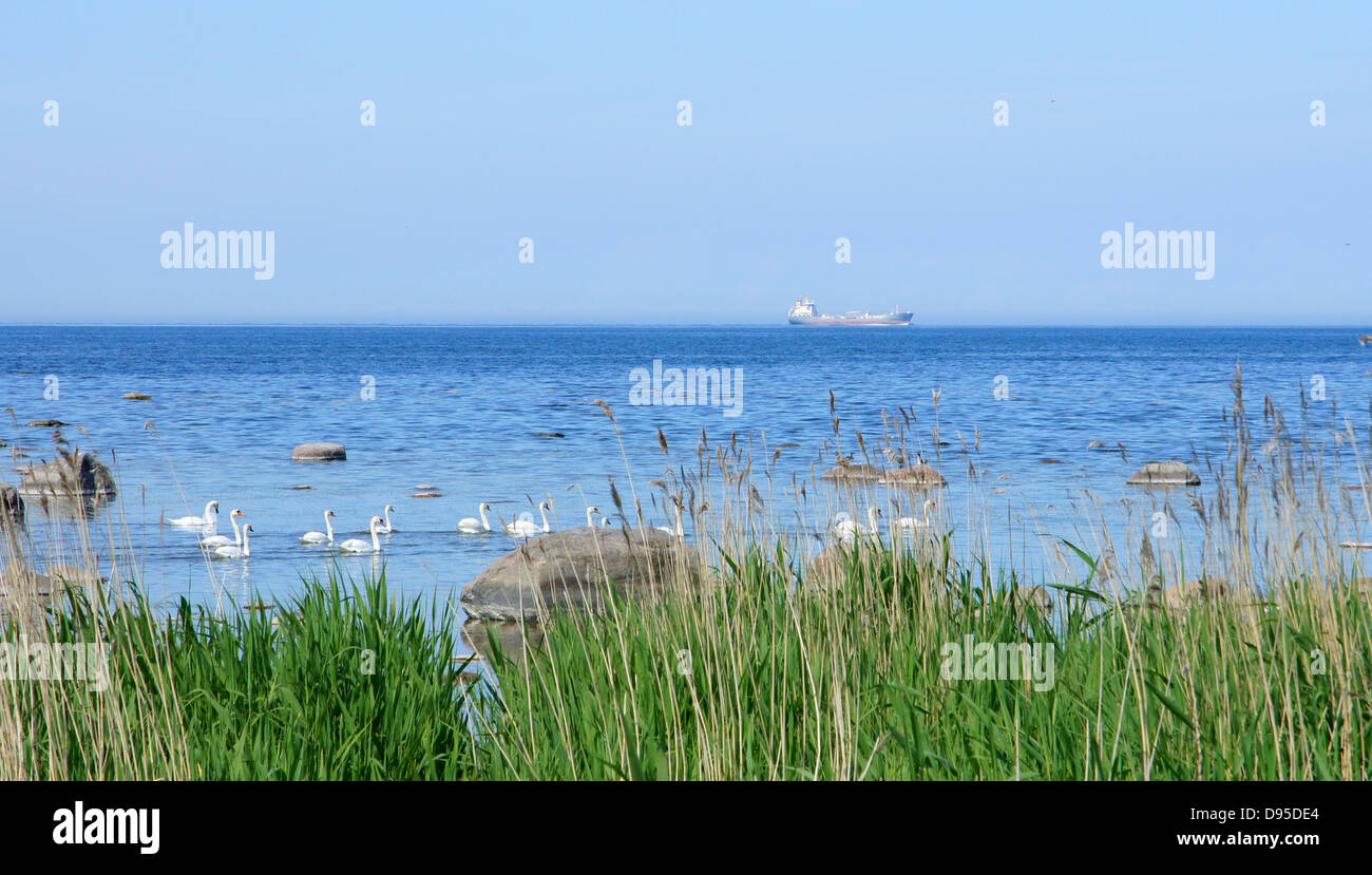 Küste auf einem Hintergrund des blauen Himmels Stockfoto
