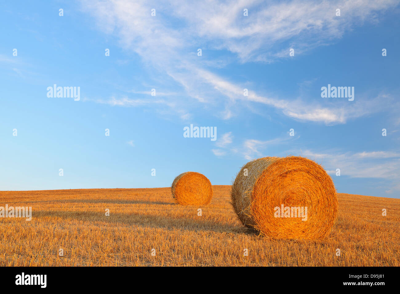 Feld mit Heuballen und blauer Himmel, Provinz Siena, Toskana, Italien Stockfoto