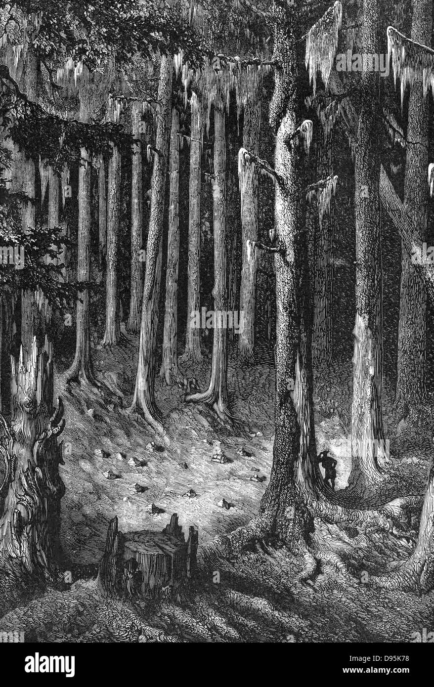 Yosemite National Park: Auf dem Weg durch den Wald zum großen Bäumen. Yosemite als State Park 1864 bezeichnet, dann ist ein Nationalpark im Jahre 1890 zusammen mit dem umliegenden Gebiet. Holzstich c 1875 Stockfoto