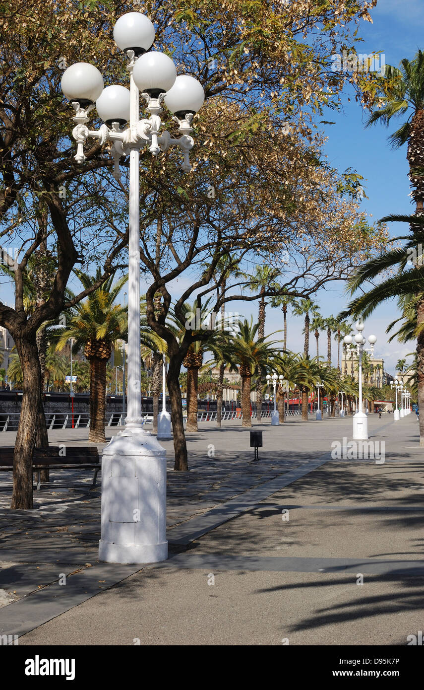 Von Bäumen gesäumten Promenade entlang der Küste durch den Hafen von Barcelona. Katalonien. Spanien Stockfoto