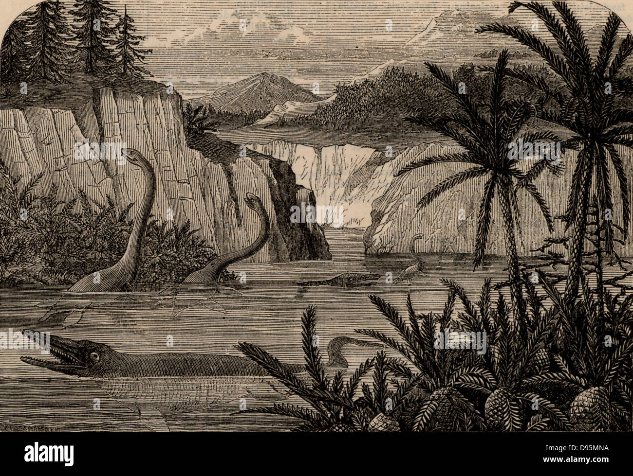 Ideal Flora und Fauna des Liassic Zeitraum einschließlich Ichthyosaurus Plesiosaurus und. Von "Der beliebten Erzieher" (London, 1855). Gravur. Stockfoto