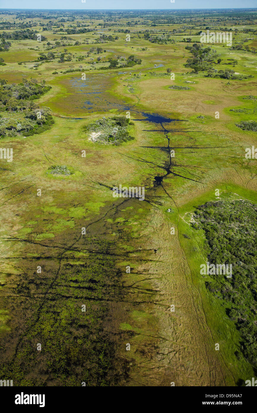 Tierspuren durch das Sumpfgebiet, Okavango Delta, Botswana, Afrika-Antenne Stockfoto